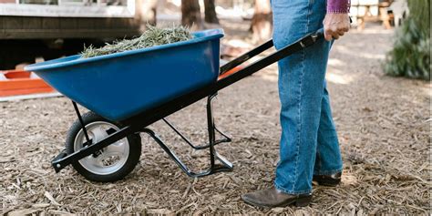 standing sex positions|Wheelbarrow Sex Position: What It Is and How It’s Done .